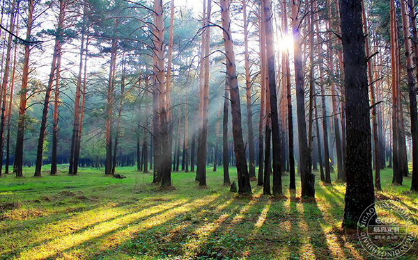  板材種類(lèi)有哪些？如何判斷板材好壞？