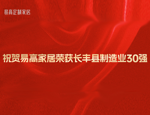  祝賀易高家居榮獲“長豐縣制造業30強”榮譽稱號！
